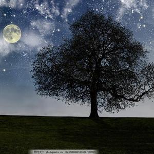 oldGaHay胖老头JJ勃起
